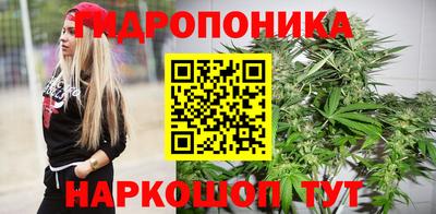 прущие грибы Кингисепп