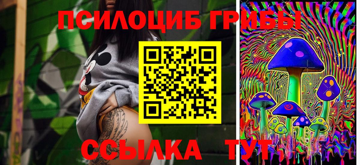 Зеленогорск  как найти закладки  Вход с VPN  Псилоцибиновые грибы ЛСД  Галлюциногенные грибы Psilocybine cubensis 
